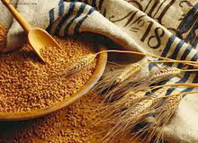 4,9 млн тонн зернових в Україні отримали фітосанітарні сертифікати на експорт